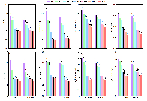Different irrigation regimes influence soil salt ion and soil