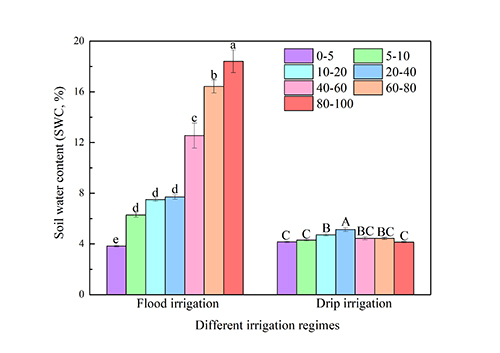 Different irrigation regimes influence soil salt ion and soil